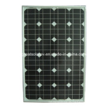 Panel solar de 50W Mono con el precio competitivo hecho en China